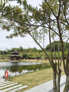 湖边风景