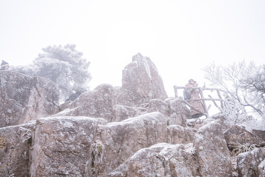 冬季雪后登山赏雾凇美景