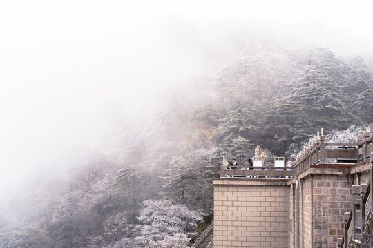 冬季雪后登山赏雾凇美景