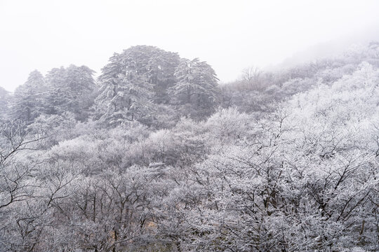 冬季雪后登山赏雾凇美景