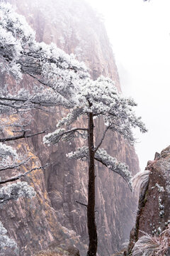 冬季雪后登山赏雾凇美景