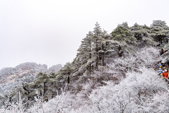 冬季登山赏美丽的雾凇