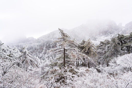 冬季登山赏美丽的雾凇