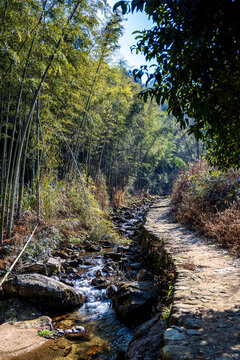 山涧竹林溪流