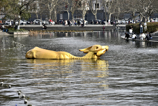 杭州西湖水牛雕塑