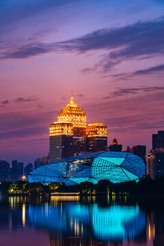 中国辽宁沈阳五里河城市地标夜景