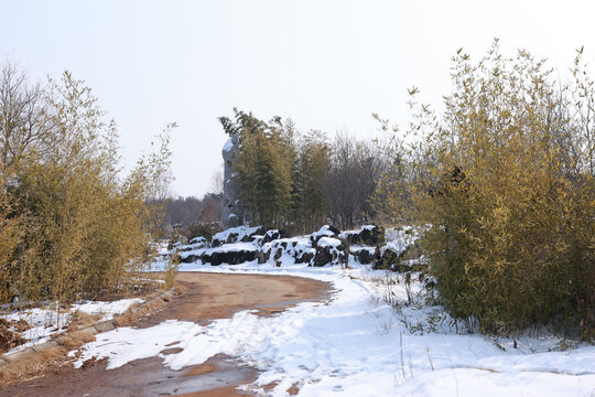 雪后园林