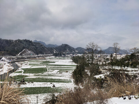 农村雪景