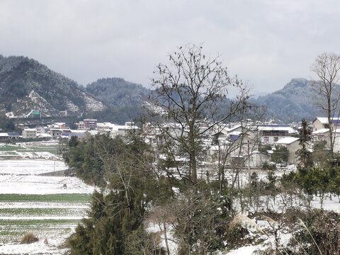 雪景