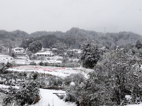 雪与远山