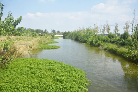 农村河道