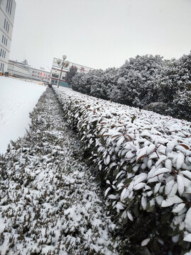 厂区雪景