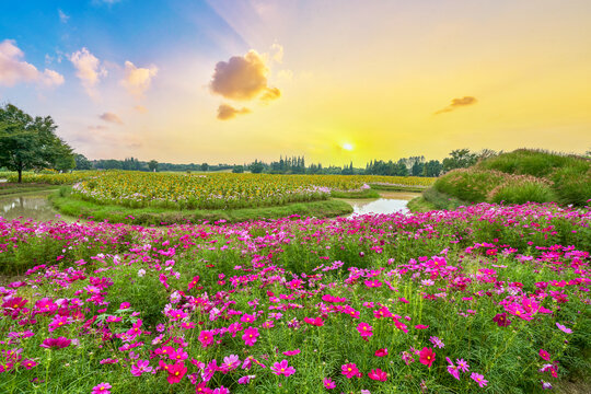 花卉生态园