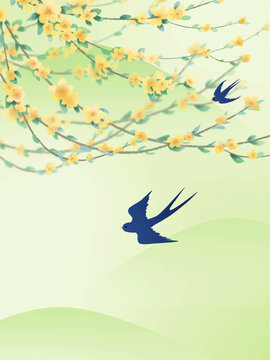 春天燕子飞来迎春花山