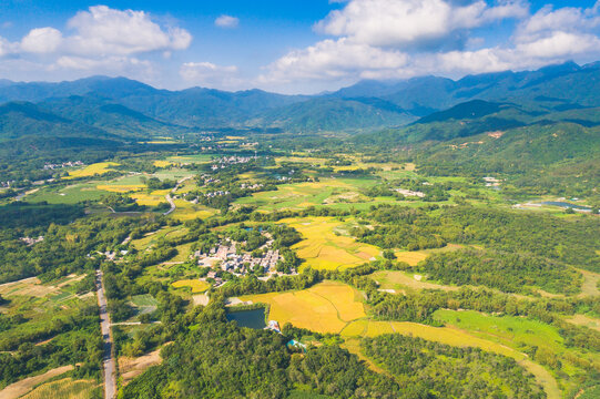 田园田野