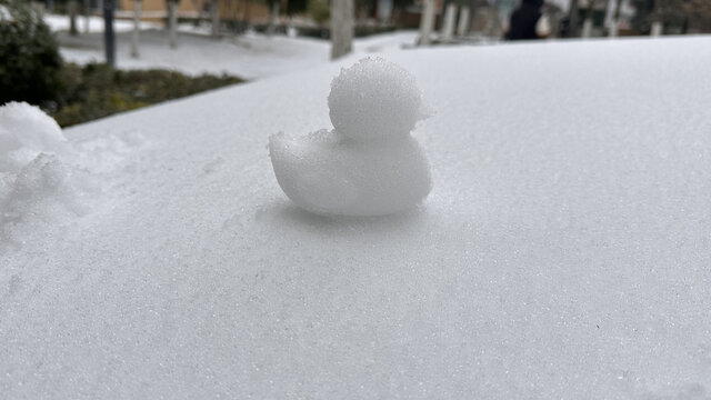 雪天