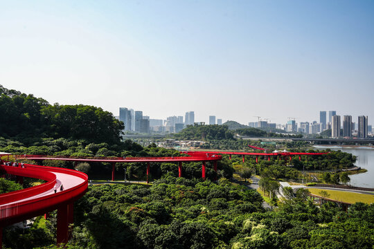 深圳光明网红打卡点虹桥公园