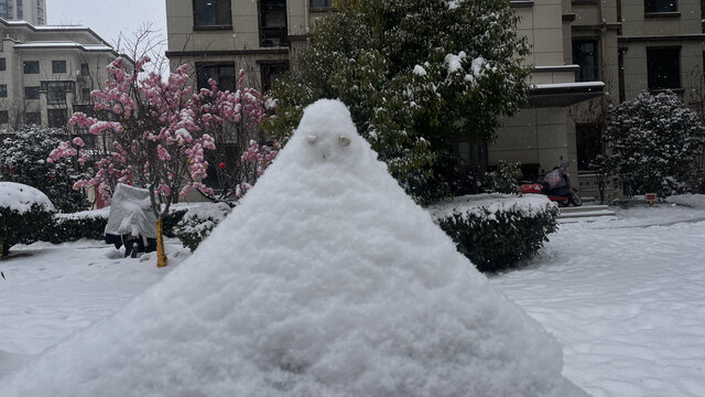 假山上的积雪