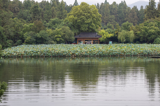 杭州西湖著名景点风光