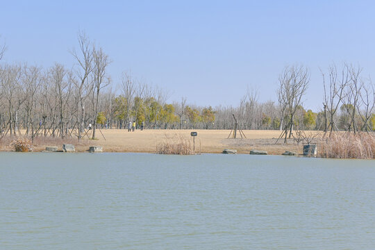 阜阳西湖风景