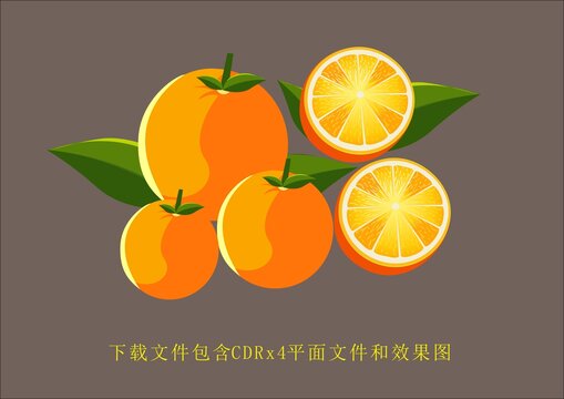 矢量橘子水果植物果蔬