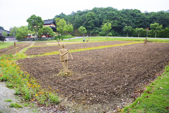 田地稻草人