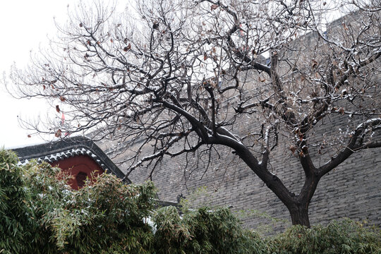 西安雪景