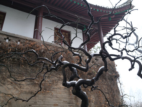 唐代古建筑