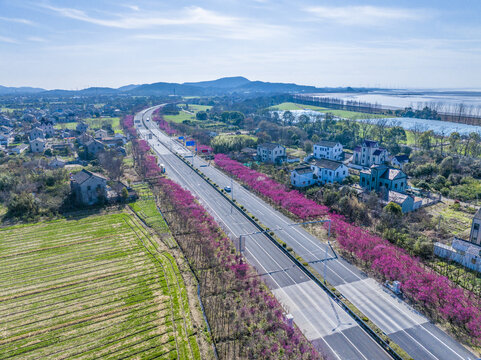 一路梅花