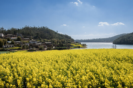 乡村美景