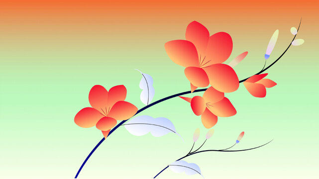 小滿漸變花卉展板