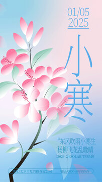 小寒渐变花卉海报