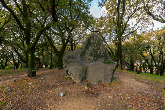 圣地亚哥德孔波斯特拉自然风景