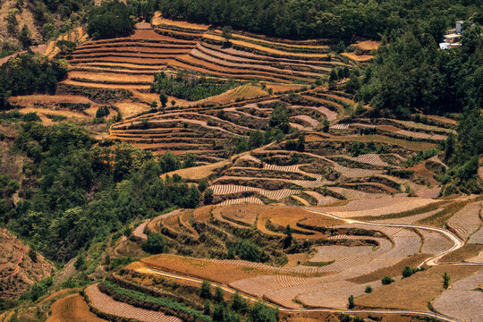 东川红土地