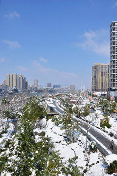 美丽雪景