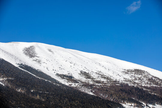 白马雪山