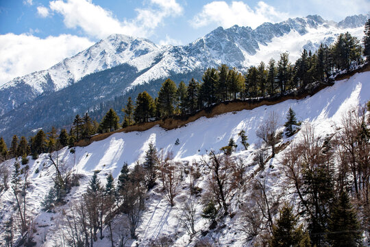 白马雪山