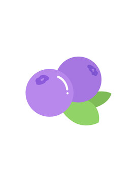 矢量藍莓