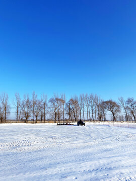 雪上娱乐