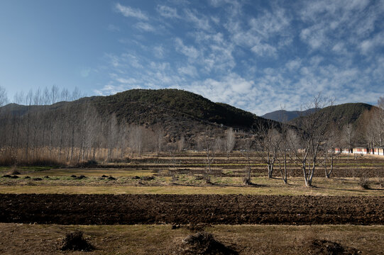 冬日原野