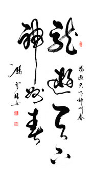龙游天下神州春行草书法字画