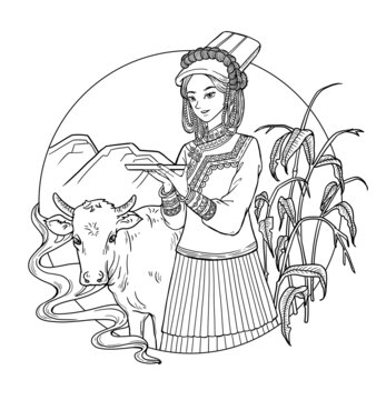 少數(shù)民族美女和牛黑白線稿插畫