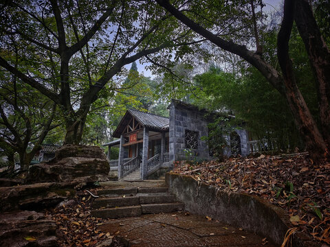 树林庭院