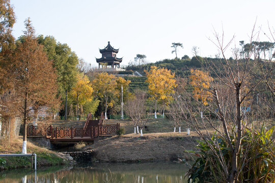 铜官山