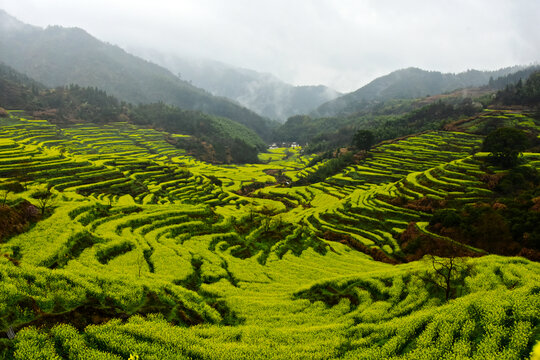 篁岭山景