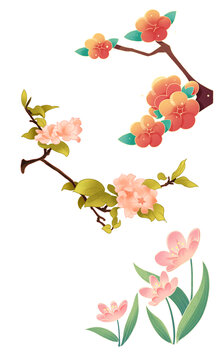 國風創(chuàng)意花卉插畫
