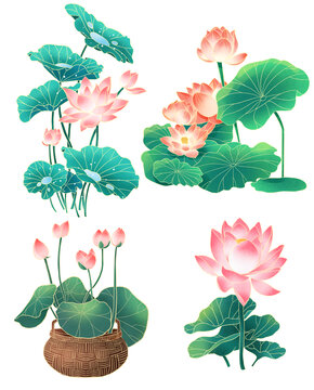 國風(fēng)創(chuàng)意荷花手繪插畫