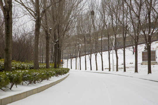 城市雪景风光