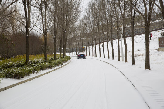 城市雪景风光