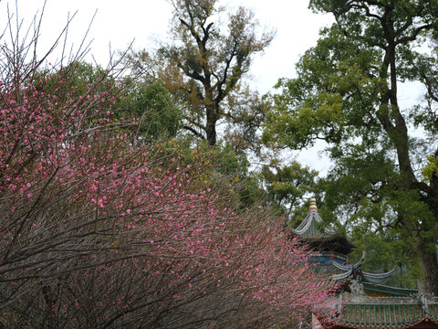 韶关南华寺